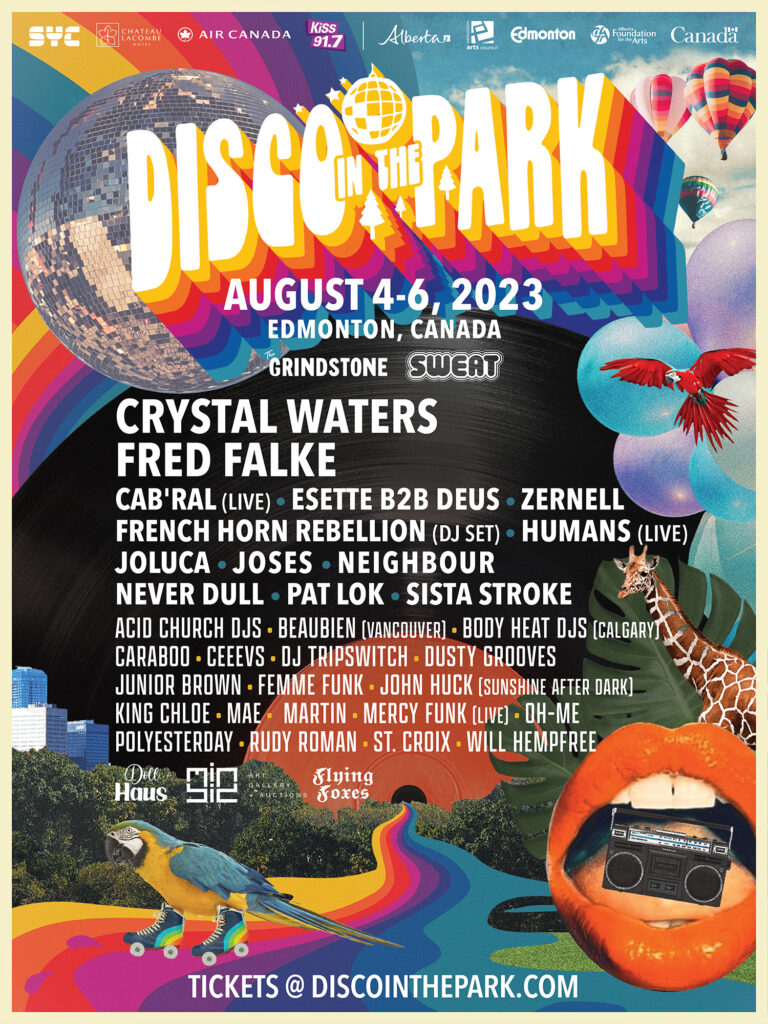 Disco in the Park Festival Flyer Never Dull