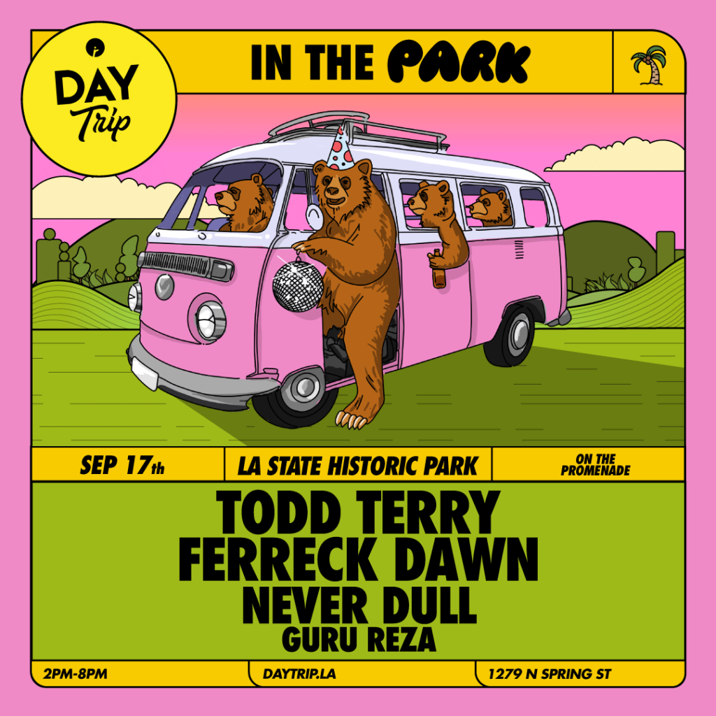 Day Trip In The Park Flyer Never Dull
