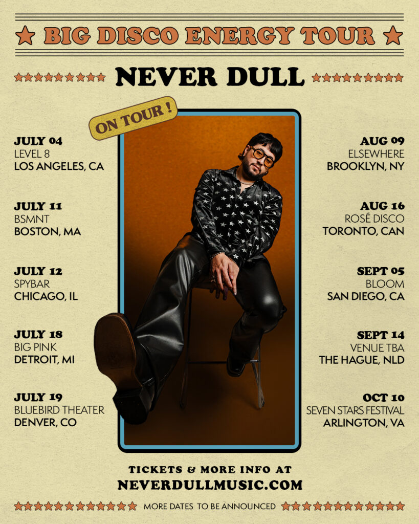 Never-Dull-BIG-DISCO-ENERGY-TOUR-Poster-Portrait